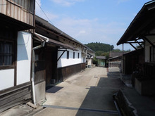 清酒HOYO